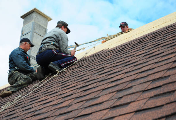 Best Roof Repair Services  in Montrose, CO