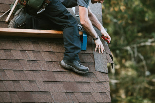 Best Local Roofing Companies  in Montrose, CO